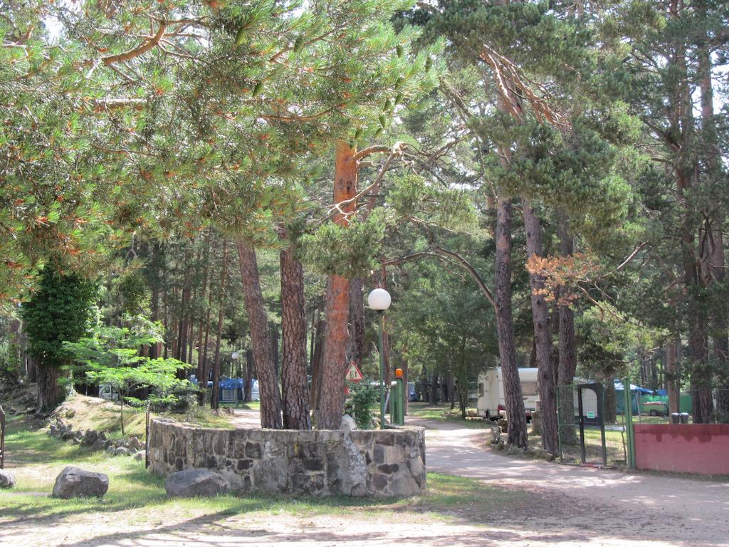 Camping Cobijo Vinuesa Kültér fotó